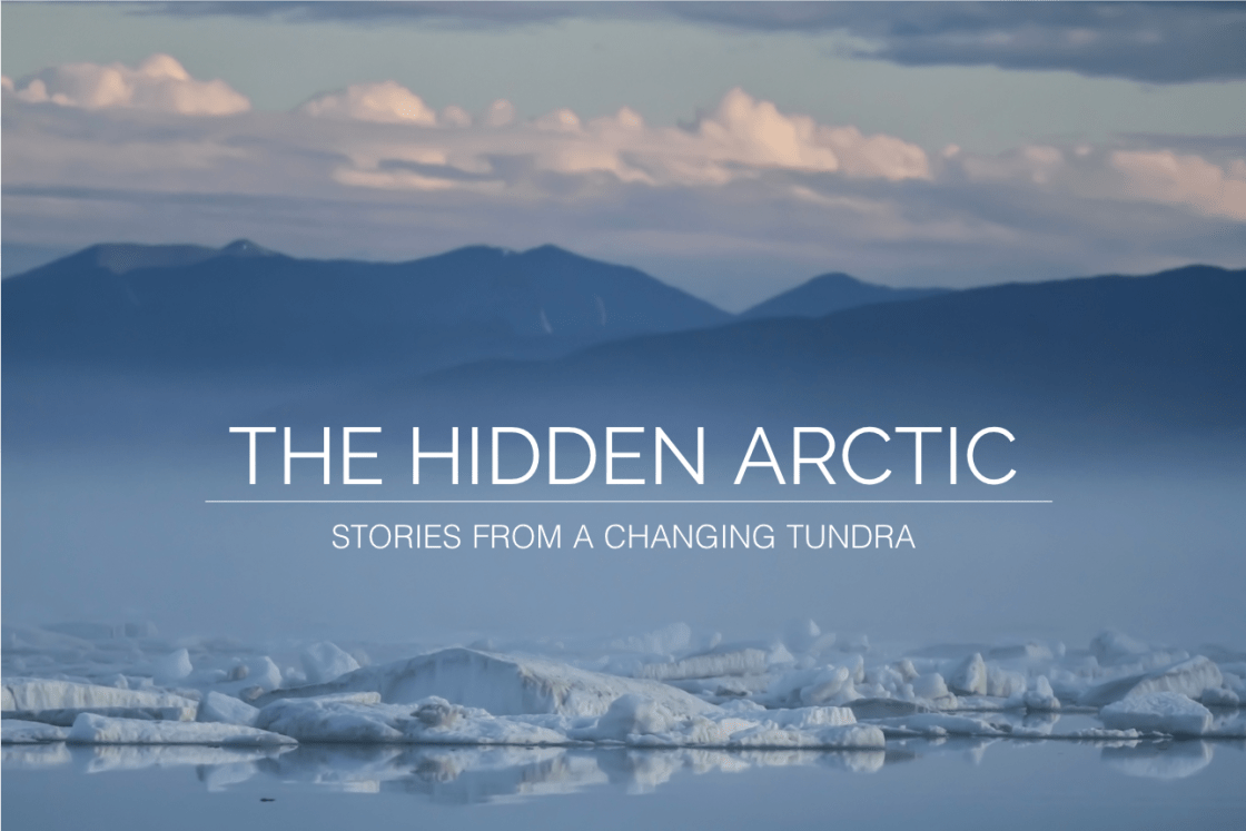 hidden_arctic_morefinal